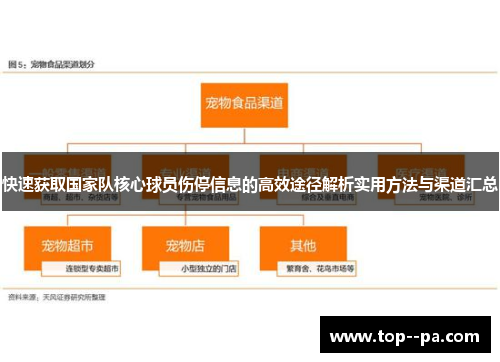 快速获取国家队核心球员伤停信息的高效途径解析实用方法与渠道汇总