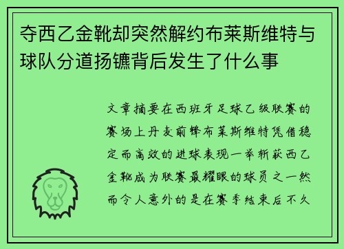 夺西乙金靴却突然解约布莱斯维特与球队分道扬镳背后发生了什么事 夺西乙金靴却突然解约布莱斯维特与球队分道扬镳背后发生了什么事